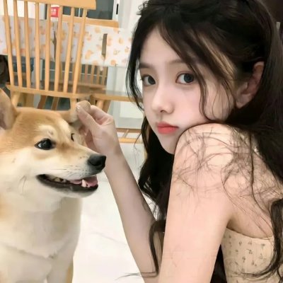 这里的黎明静悄悄2005